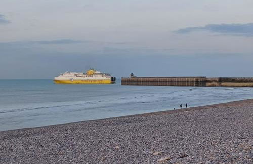 Bleu d'Arques Appartement lumineux et calme - Foto 43