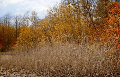 Gite de charme, Sologne, séjour en famille, jeux, balade nature en forêt & détente, centre Aubigny - Foto 42