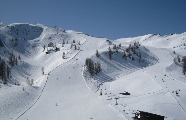 Forest Family Home - Foto 48