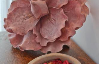 Casa de Campo Sossego da Lata - Foto 21