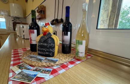 Cal Foraster - Foto 33