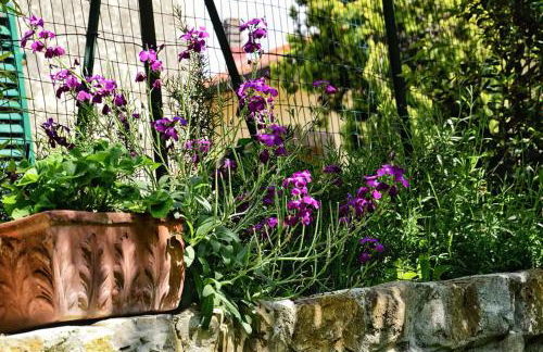 Appartamenti Tortorella - Foto 49