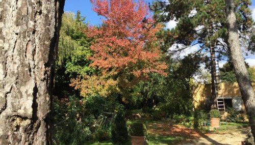 appartement fond de jardin 1 étage - Foto 2, Garden view