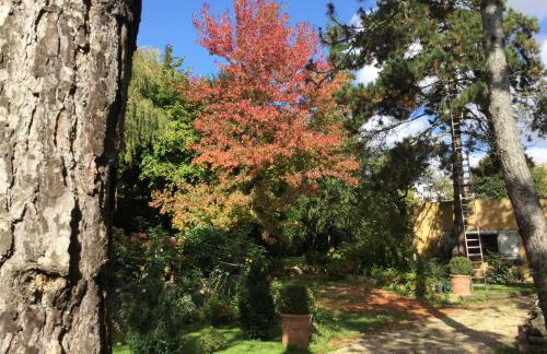 appartement fond de jardin 1 étage - Foto 2