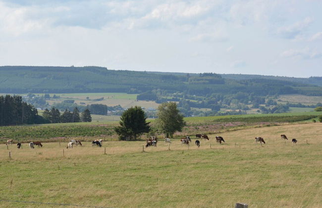 Child Friendly Holiday Home in Bouillon near River - Photo 32