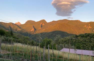 Splendida vista - Foto 32