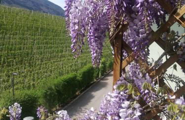 Casa Clima Tandem - Foto 34