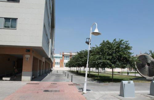 PACIFICO 18 - Photo 60