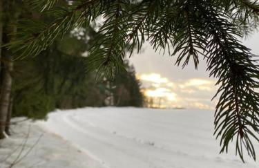 Ferienwohnung zur Bugspitze - Foto 31