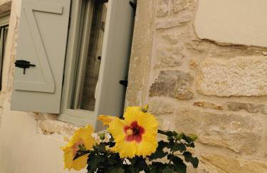 Nio's nest - Foto 19