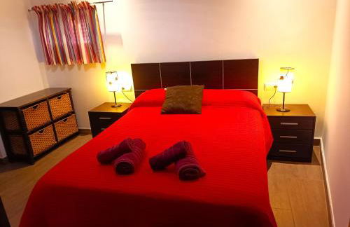 Flamencos del cerrado - Photo 37