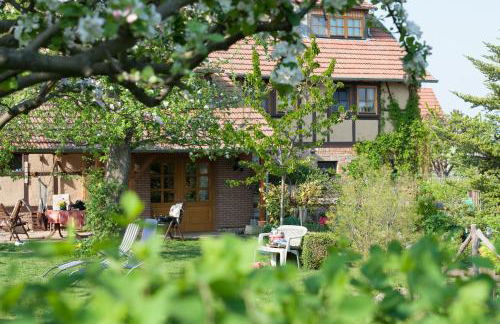 Familienferienhof Sell´s Scheune - Foto 10