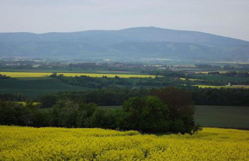 Ferienwohnung am Harz - Foto 20