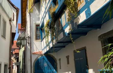 Bio-Ferienwohnung Ellensohn - Foto 2