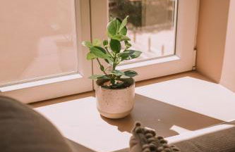 Quiétude-Loft neuf-Clim & Parking - Foto 13