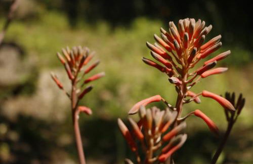 Villa Canale - Foto 43