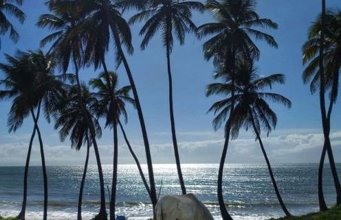 Cabanas Caraúbas - frente para o mar, ar & Tv - Foto 57