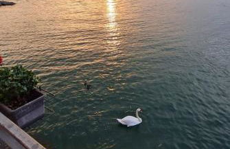 La Perla del Lago di Como - Foto 37