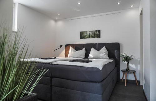 Neu gebautes Apartment mit Sonnenterasse in der Nähe vom Siebengebirge & Bonn - Foto 11