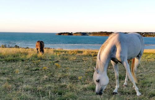 le Ti'Nid - Gîte de charme - Vue Mer - Foto 27