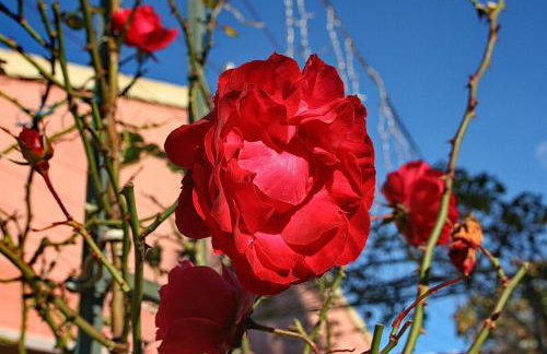 Villa Kardami -country house - Foto 64