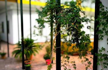 Ispal Triana - Photo 21