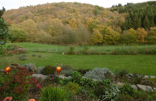 Land des Friedens in Nettersheim / Eifel - Photo 22