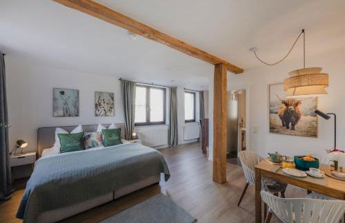 MAINTERRASSE Boardinghouse am Fluss klimatisierte Apartments mit 80qm Terrasse - Foto 23