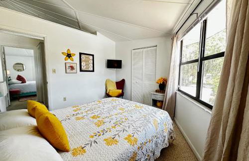 Lake Francis Lily Pad - Foto 10