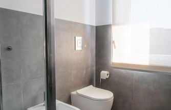 Helianthus - Photo 24