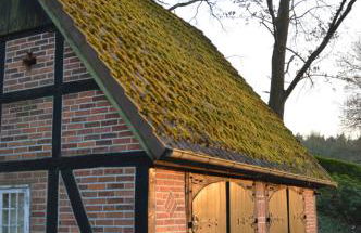 Tüschenbeker Mühle - Foto 52