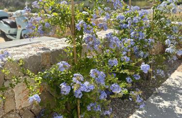 Villa Olea Mare - Mediterranean Comfort and Style - Foto 35