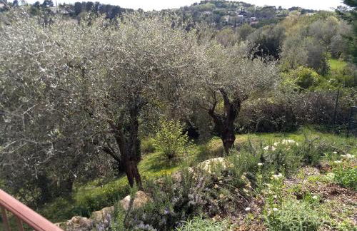 Beautiful private villa with open views - Foto 10