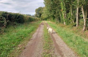 Gîte Traitsanes En Berry Centre Val de Loire - Foto 14