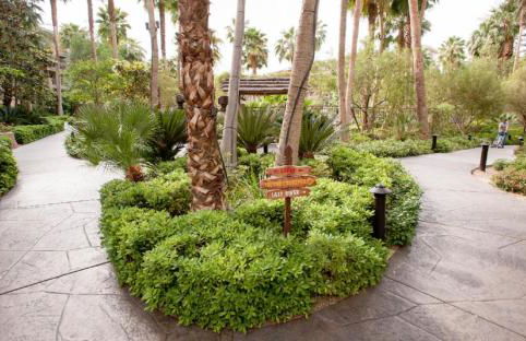 Suites at Tahiti Village Resort and Spa-No Resort Fee - Foto 22