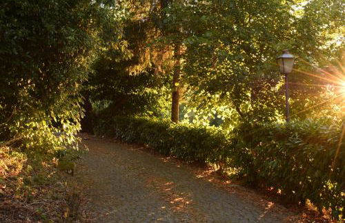 Aparthotel Quinta do Crestelo - Foto 94