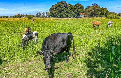 Cozy Home In Warnoleka With Wifi - Foto 26