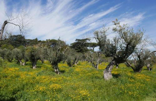 Villa Cavalletti - Foto 65