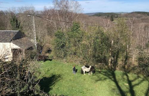 Maison en pierre dans le Sidobre - Foto 10