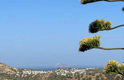 House of sunset 3 - Photo 50