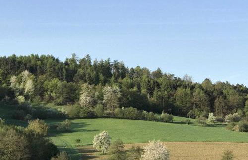 Spessart Romanticism - Foto 1