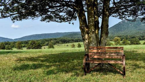 Holly Tree Retreat Located In Beautiful Luray, VA. - Foto 4