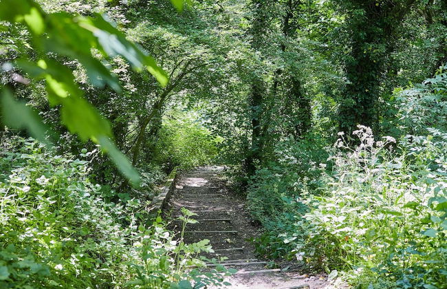 Host Stay May Cottage - Foto 20