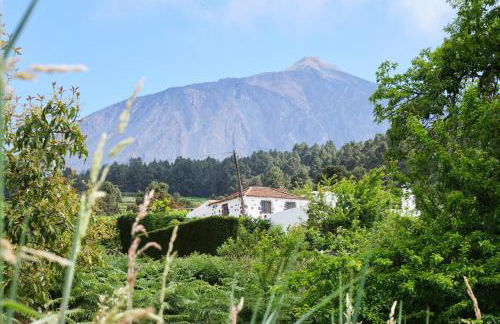 Casa Rural Felipe Luis - Foto 26