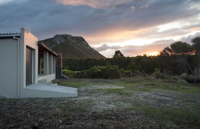 Groeneweide - Foto 51