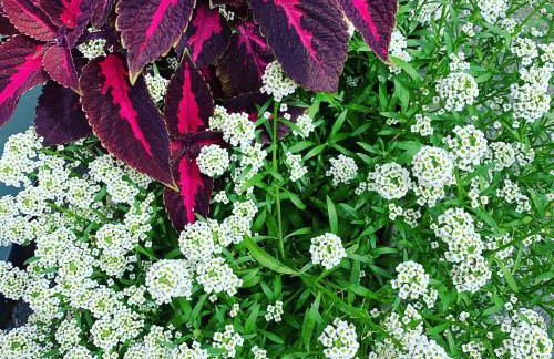 Moar am Ort - Foto 17