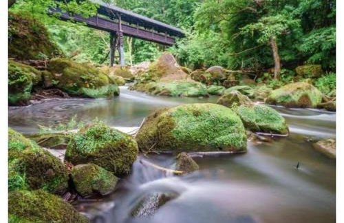 Holiday apartment in Bollendorf with balcony - Foto 15