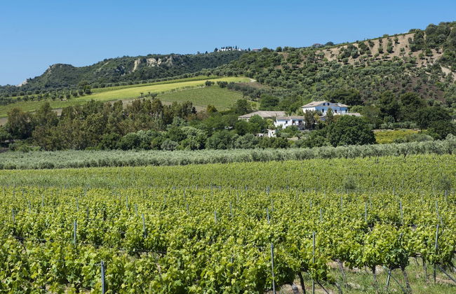 Agriturismo Dattilo - Foto 35