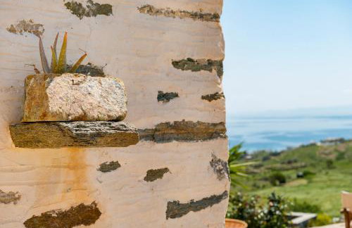 MEGAS GIALOS HARMONY - Foto 52