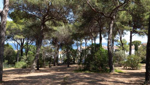 Ca la Irene II - Foto 5